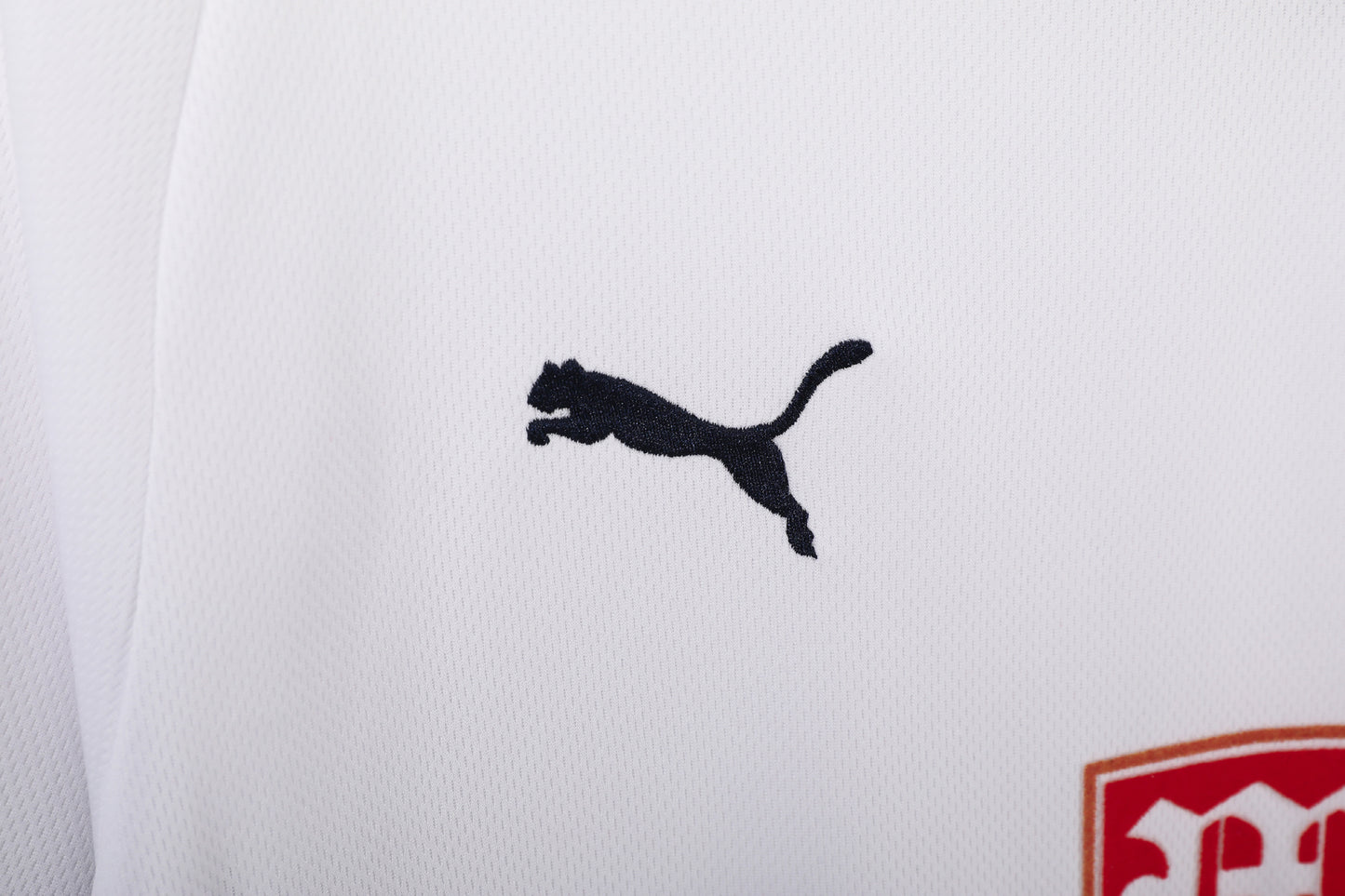 2008/09 season Tottenham Hotspur home