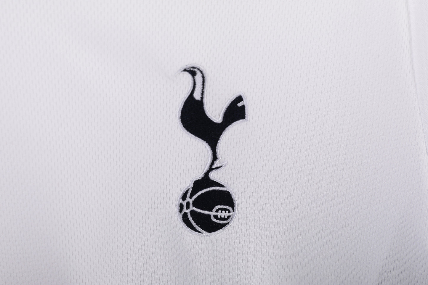 2008/09 season Tottenham Hotspur home