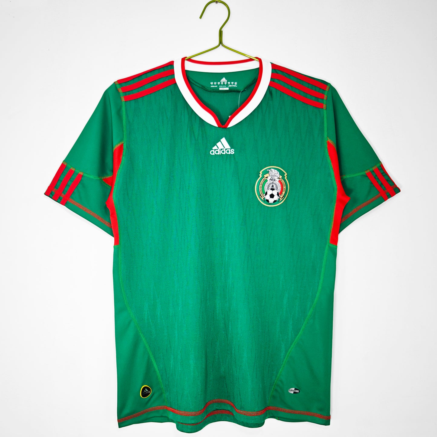 2010 Mexico home