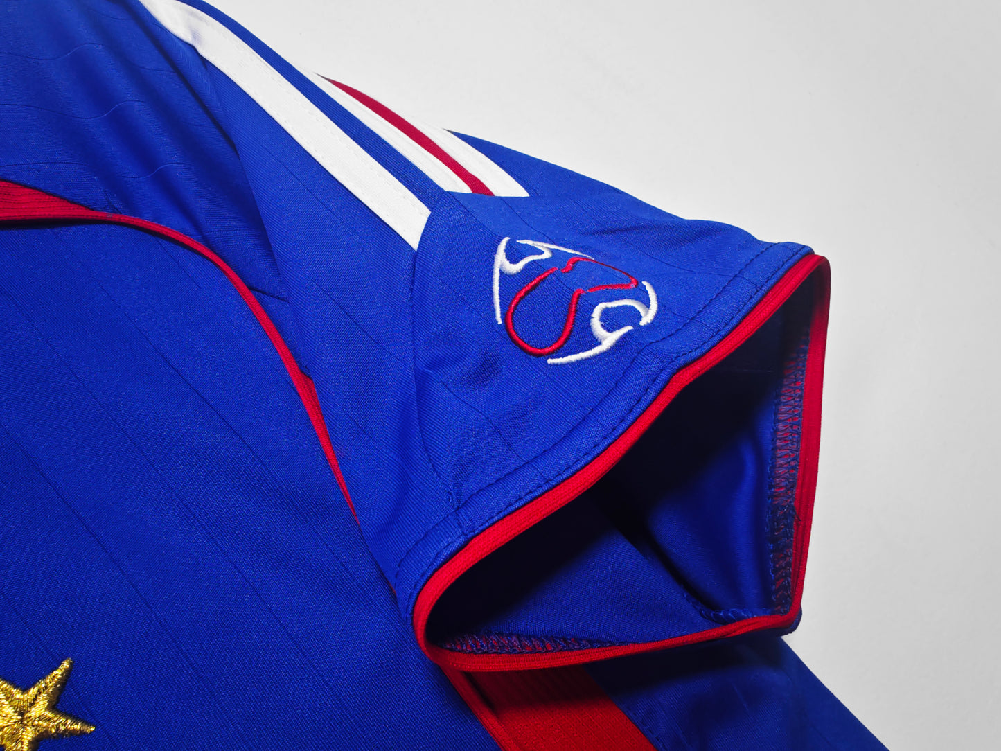 2006 France home