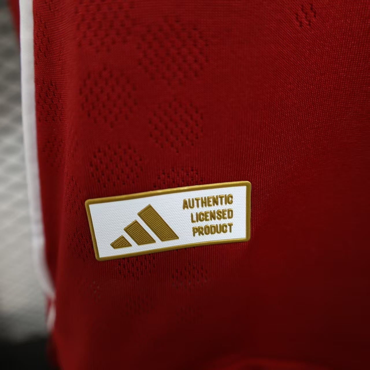 25/26 Liverpool home player version
