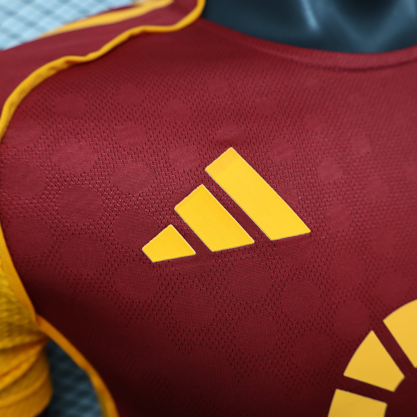 2025 /2026 Roma home