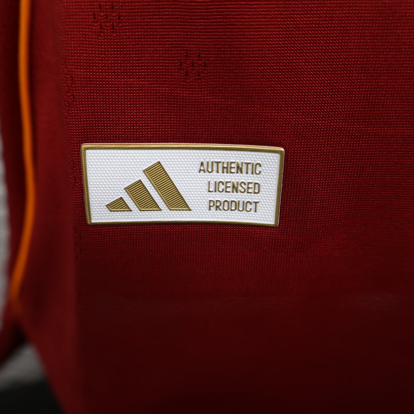 2025 /2026 Roma home