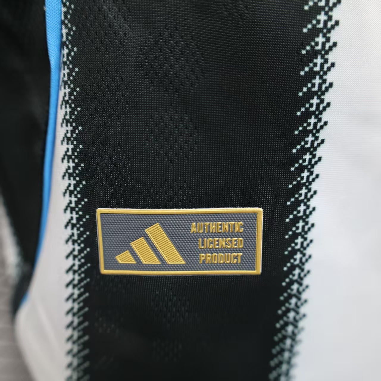2025 /2026 Newcastle home