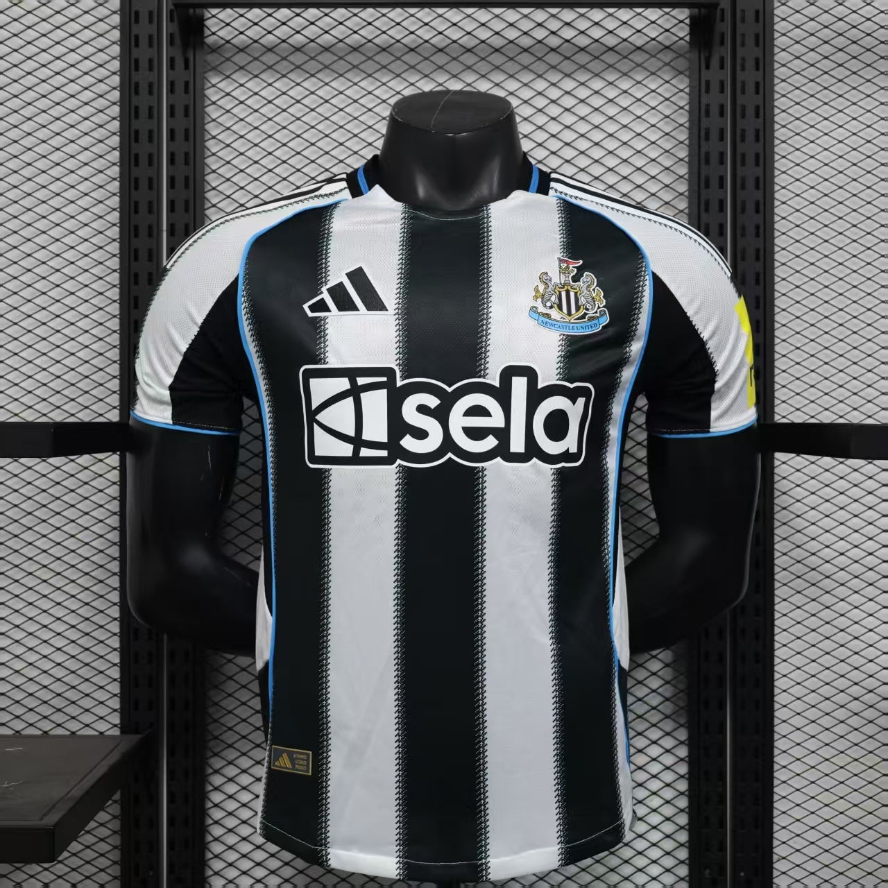 2025 /2026 Newcastle home