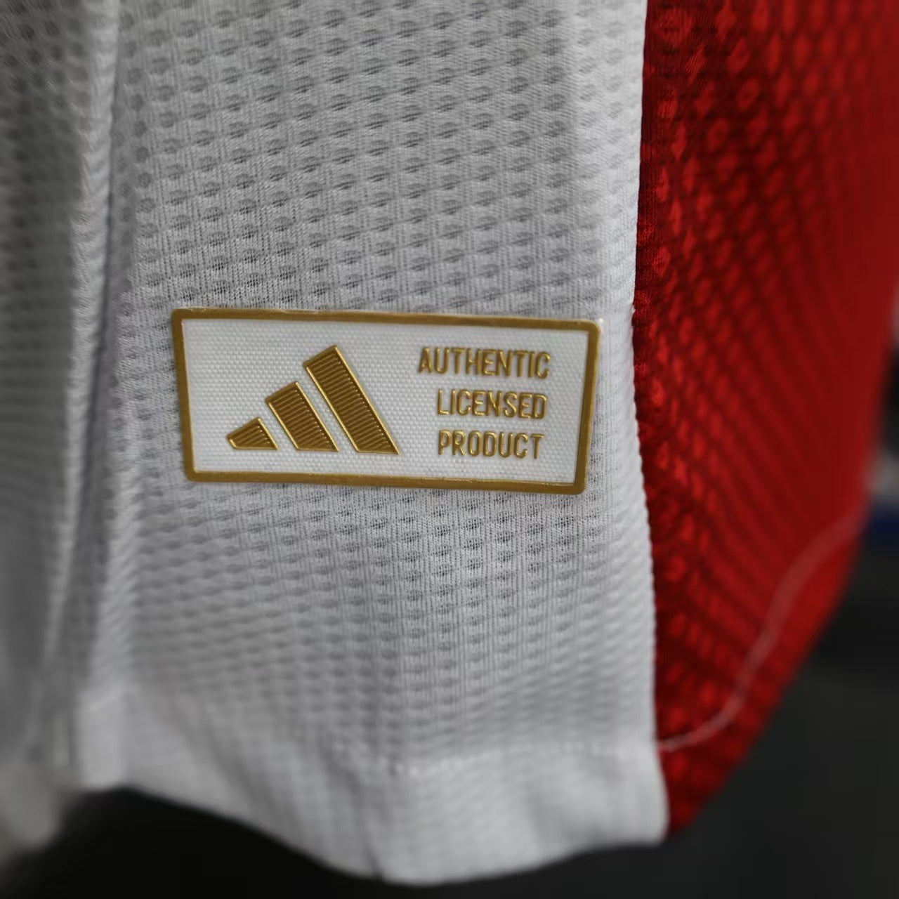 2025 /2026 Ajax home