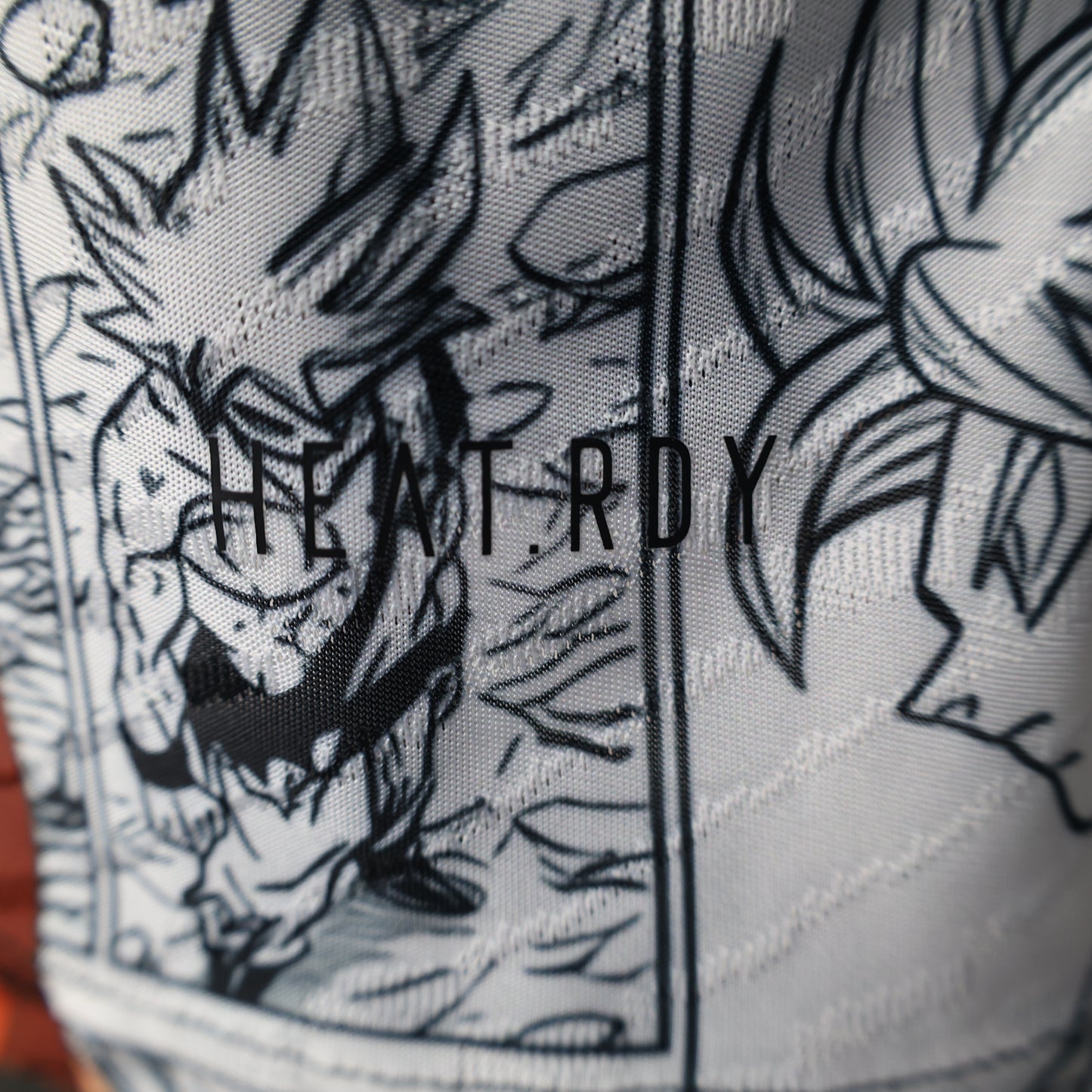 25/26 Japan dragon ball ( Goku) special
