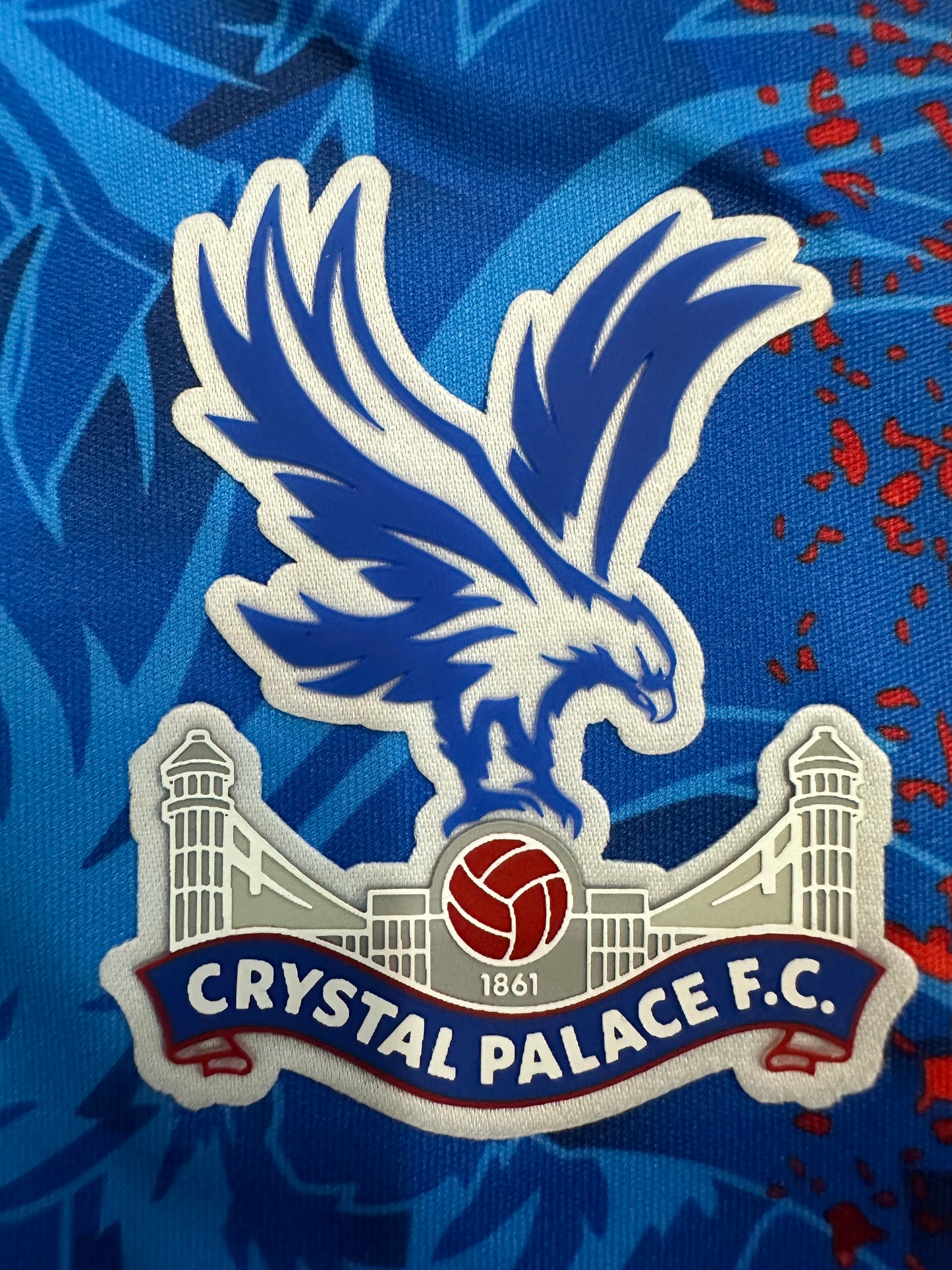 2024/2025 Crystal Palace home