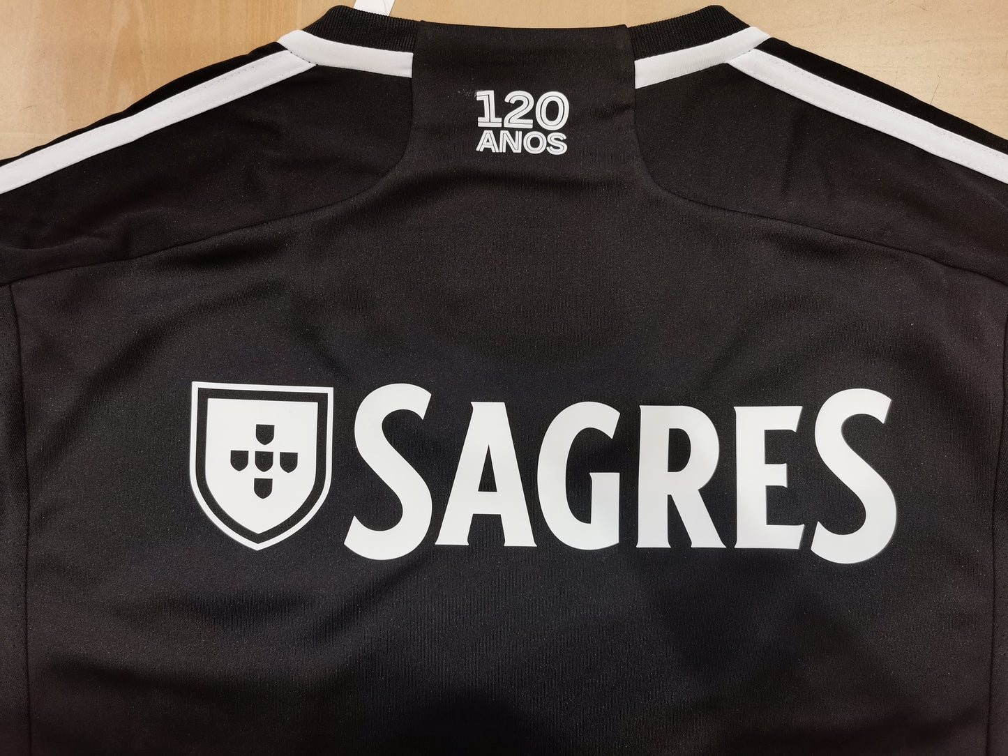 2023/2024 Benfica away