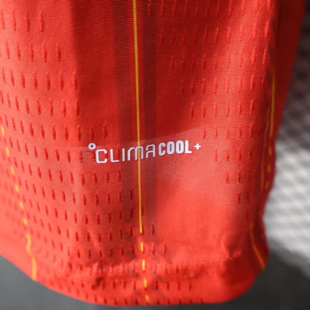 Spain 2026 home long sleeves Player's version