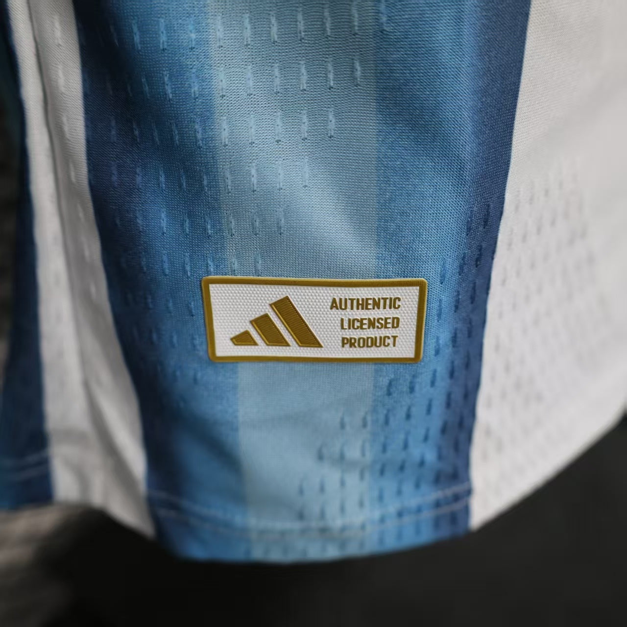 Argentina 2025-26 Jersey Player's version Long Sleeve