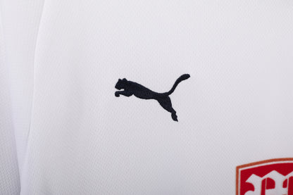 2008/09 season Tottenham Hotspur home