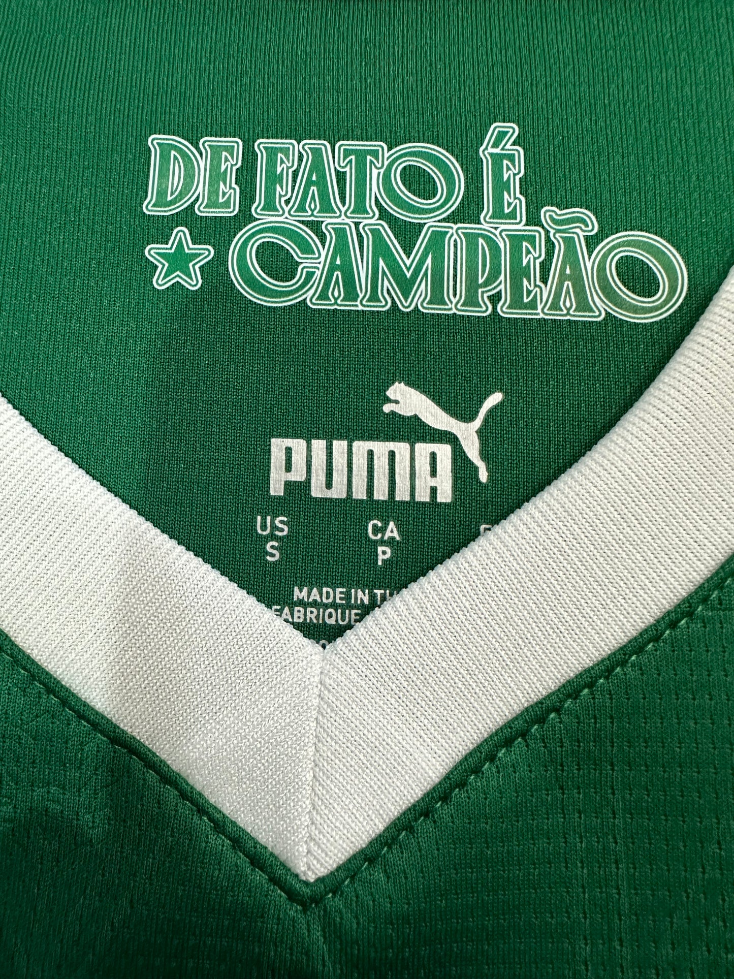 2025/2026 Palmeiras home