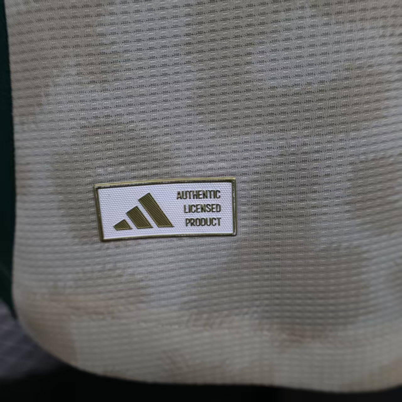 Saudi Arabia 2024/2025 away Player's version