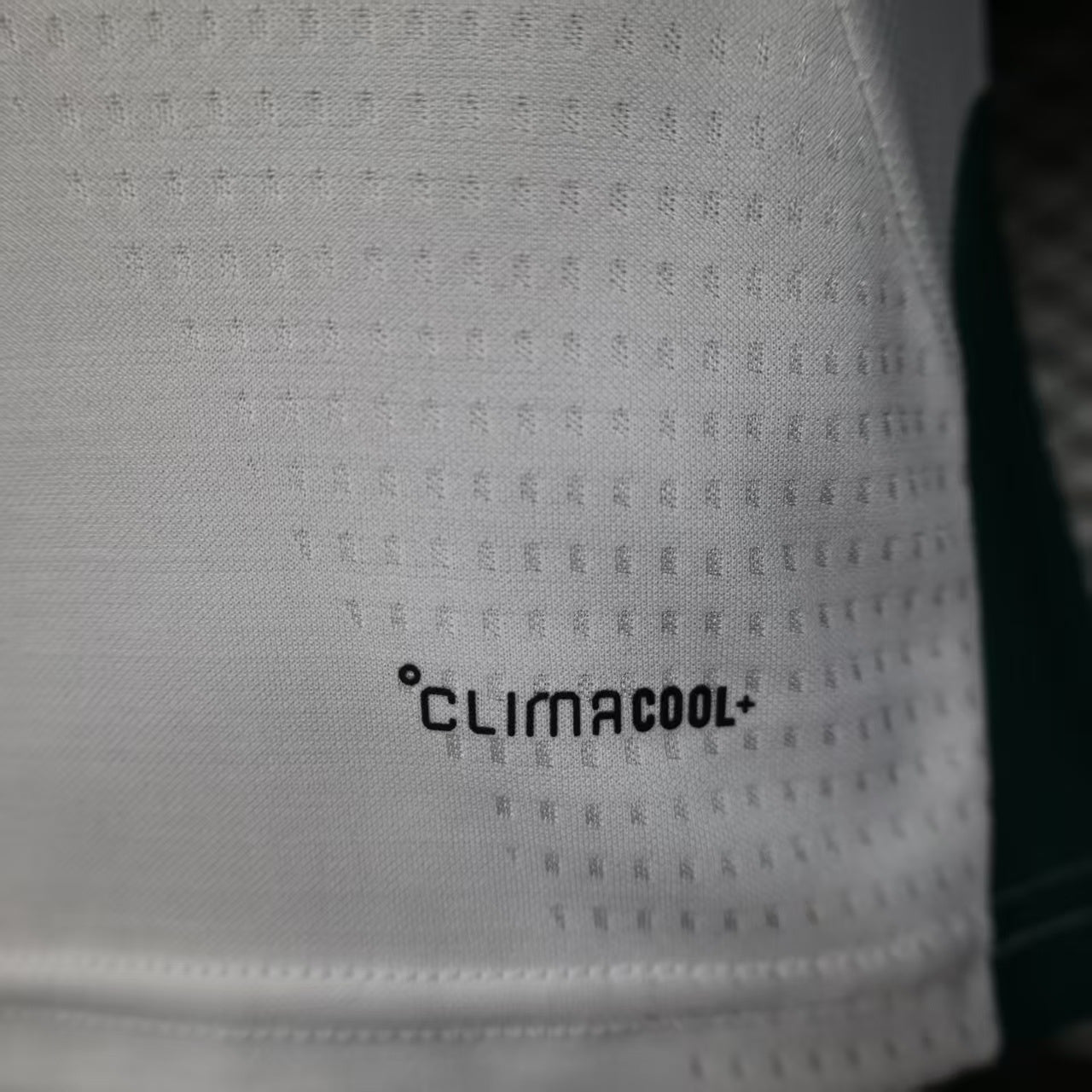 Italy 2026 training jersey Player's version