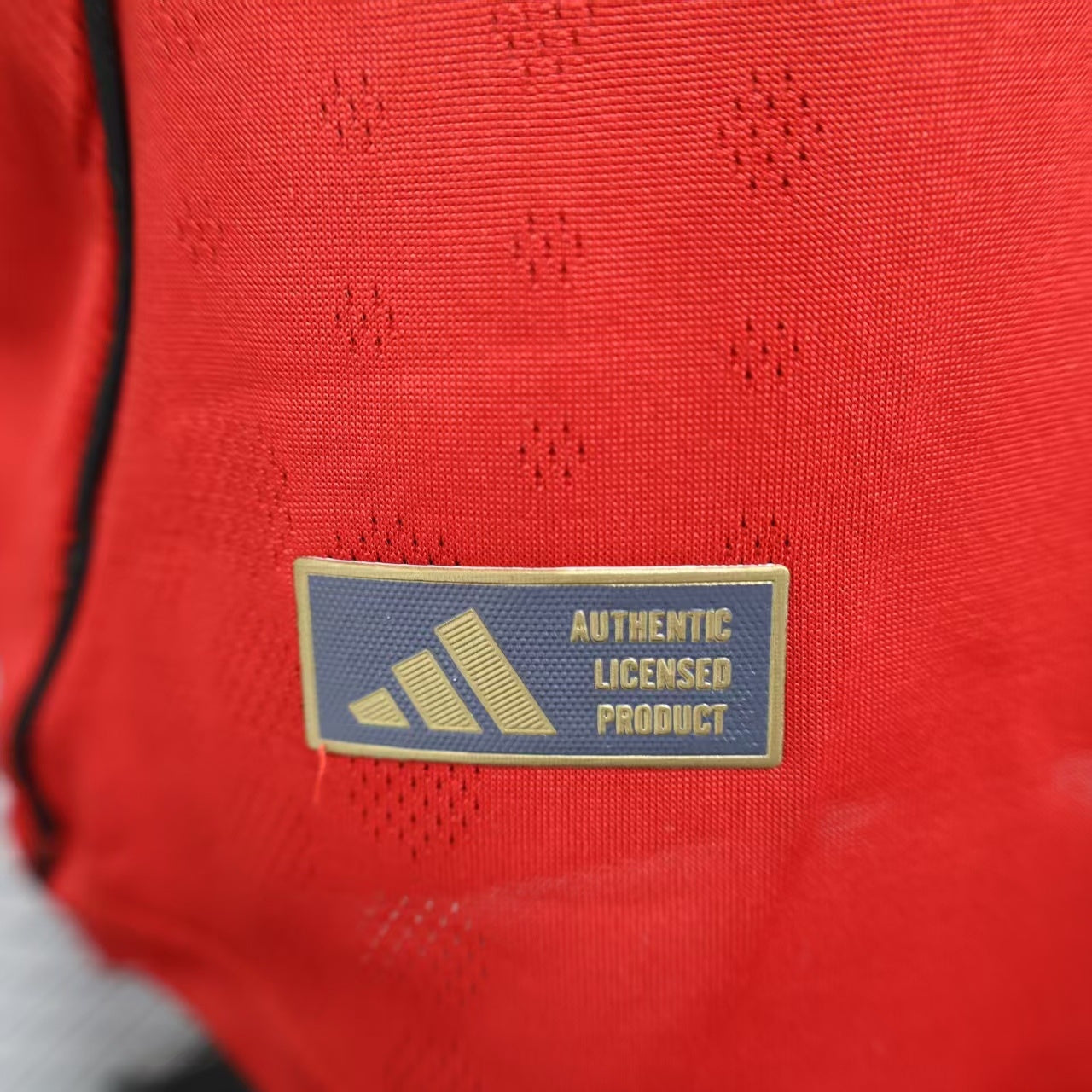 Manchester United 2025/2026 home players jersey