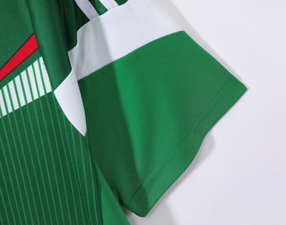 2014 Mexico home