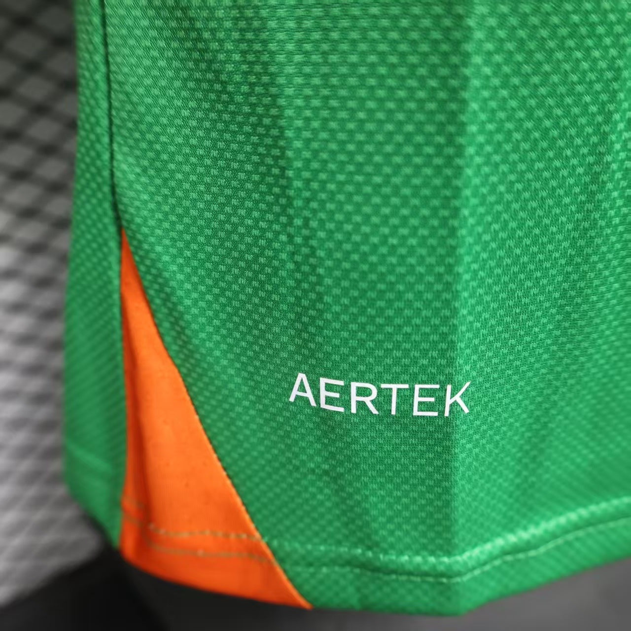 Ireland 2026 home Player's version