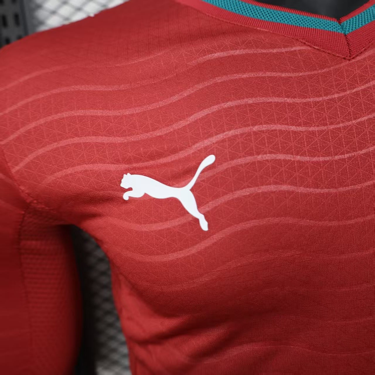 Portugal 2026 home long sleeves Player's version