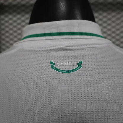 Wales 2026 away Player's version