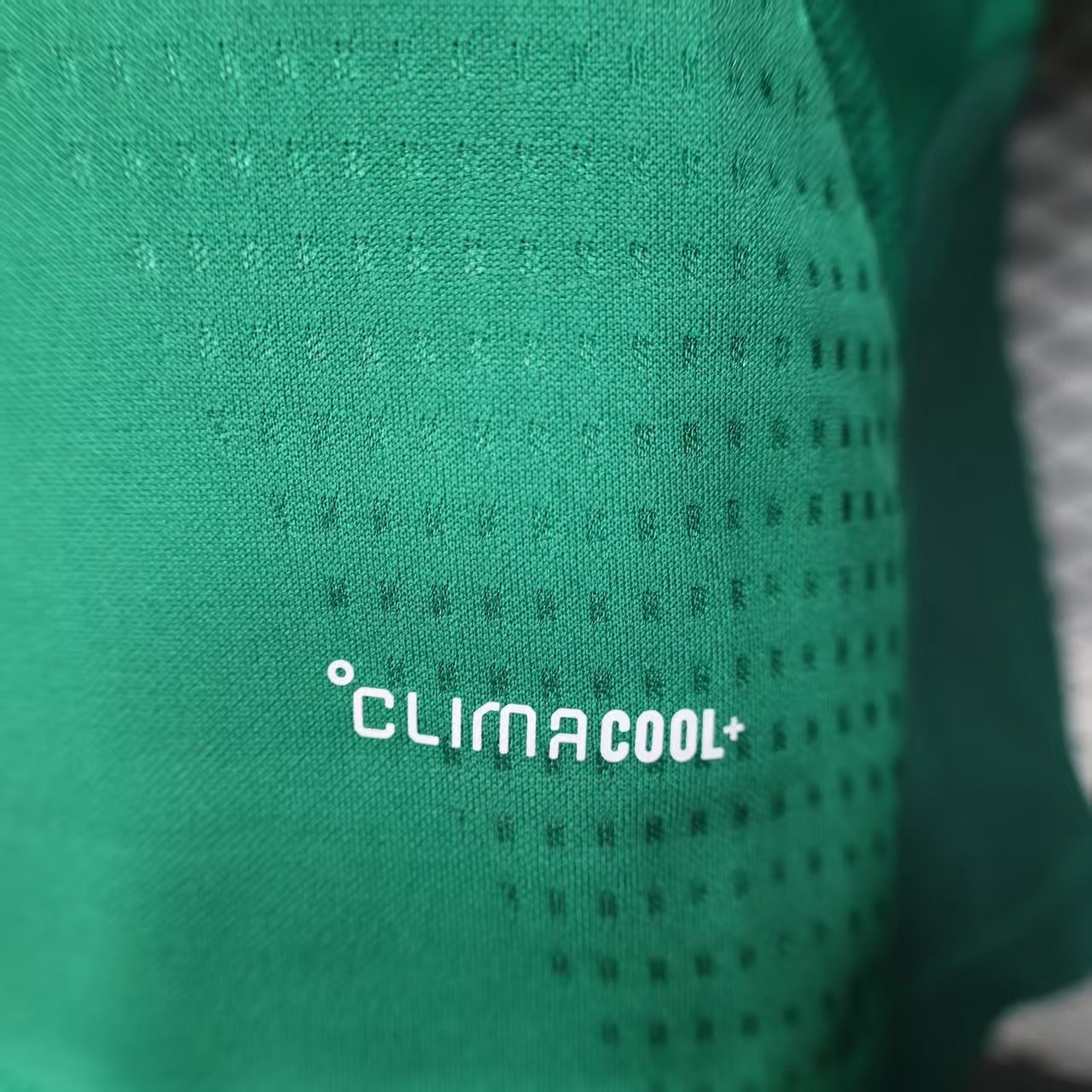 Mexico 2026 training jersey Player's version