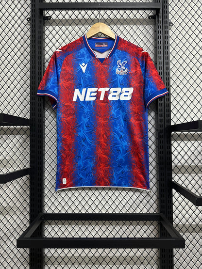 2024/2025 Crystal Palace home