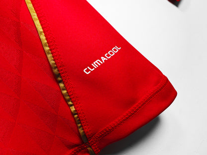 2010/11 Liverpool home