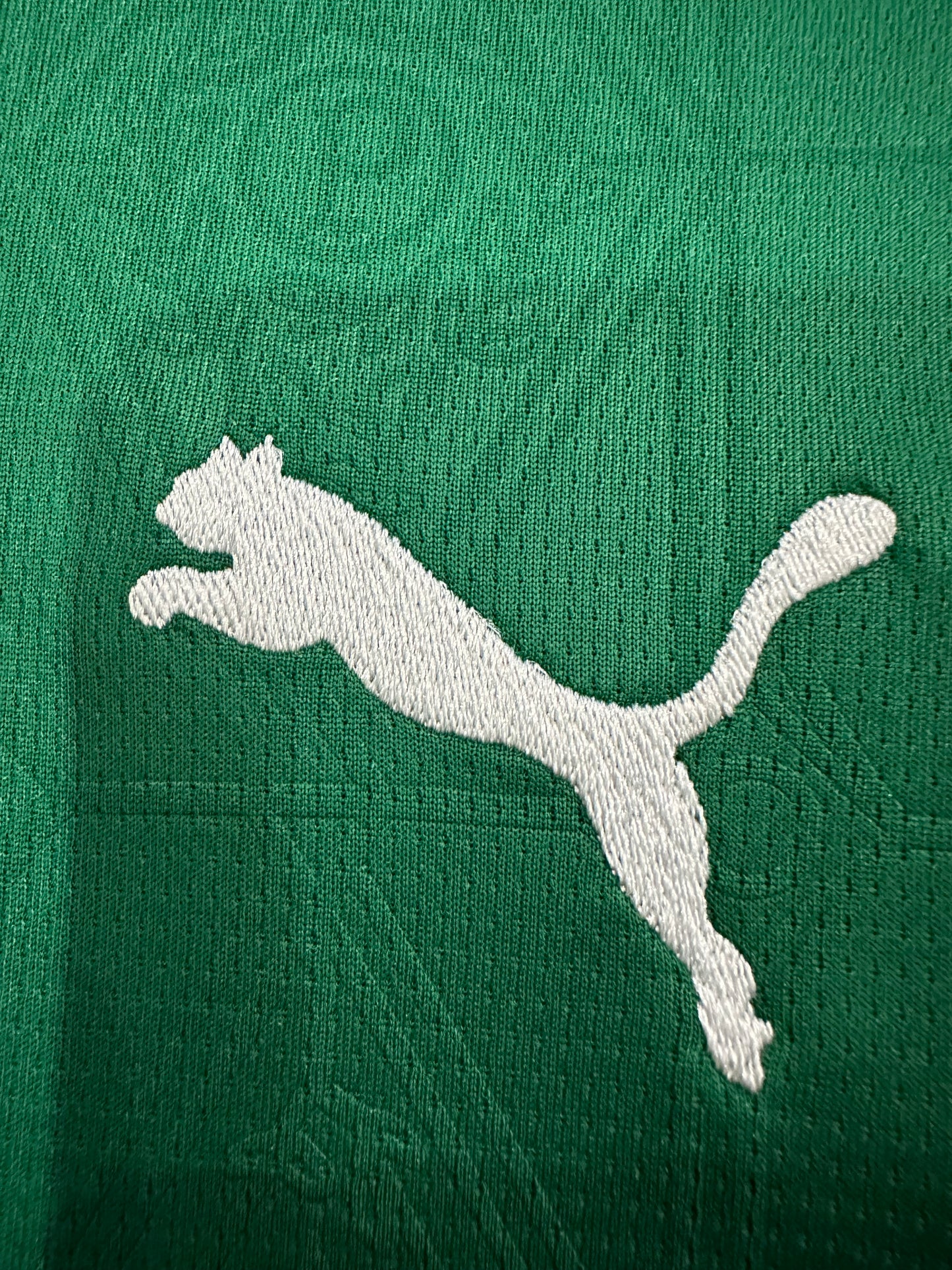 2025/2026 Palmeiras home