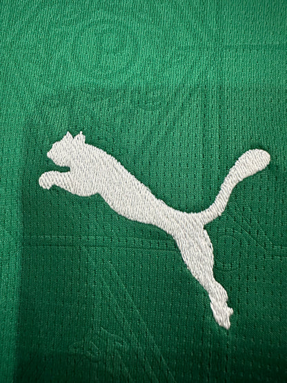 2025/2026 Palmeiras home