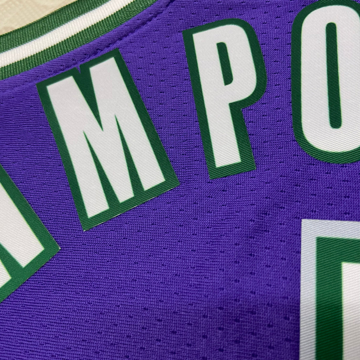 NBA  Milwaukee Bucks #34 Special edition Jersey