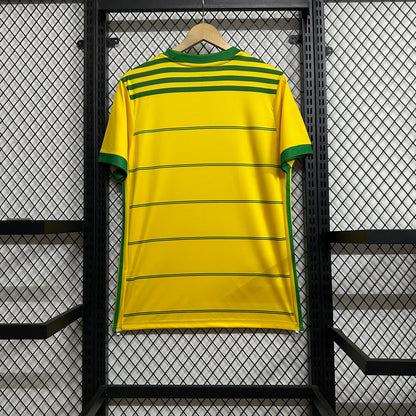 Brazil 2026/27 special edition  Jersey fans version