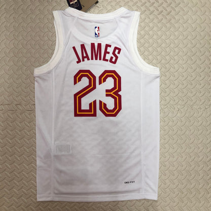 NBA Cleveland Cavaliers Regular season  Jersey (Copy)
