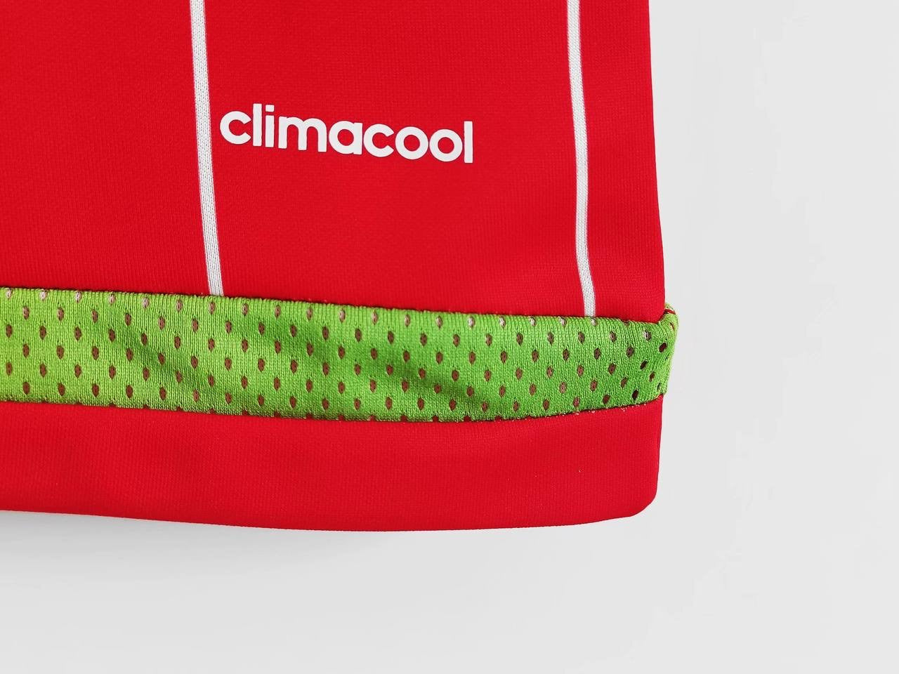 2015/16 Wales Home Retro Jersey (Striped Version)