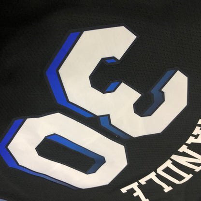 NBA NewYork Knicks  special edition Jersey