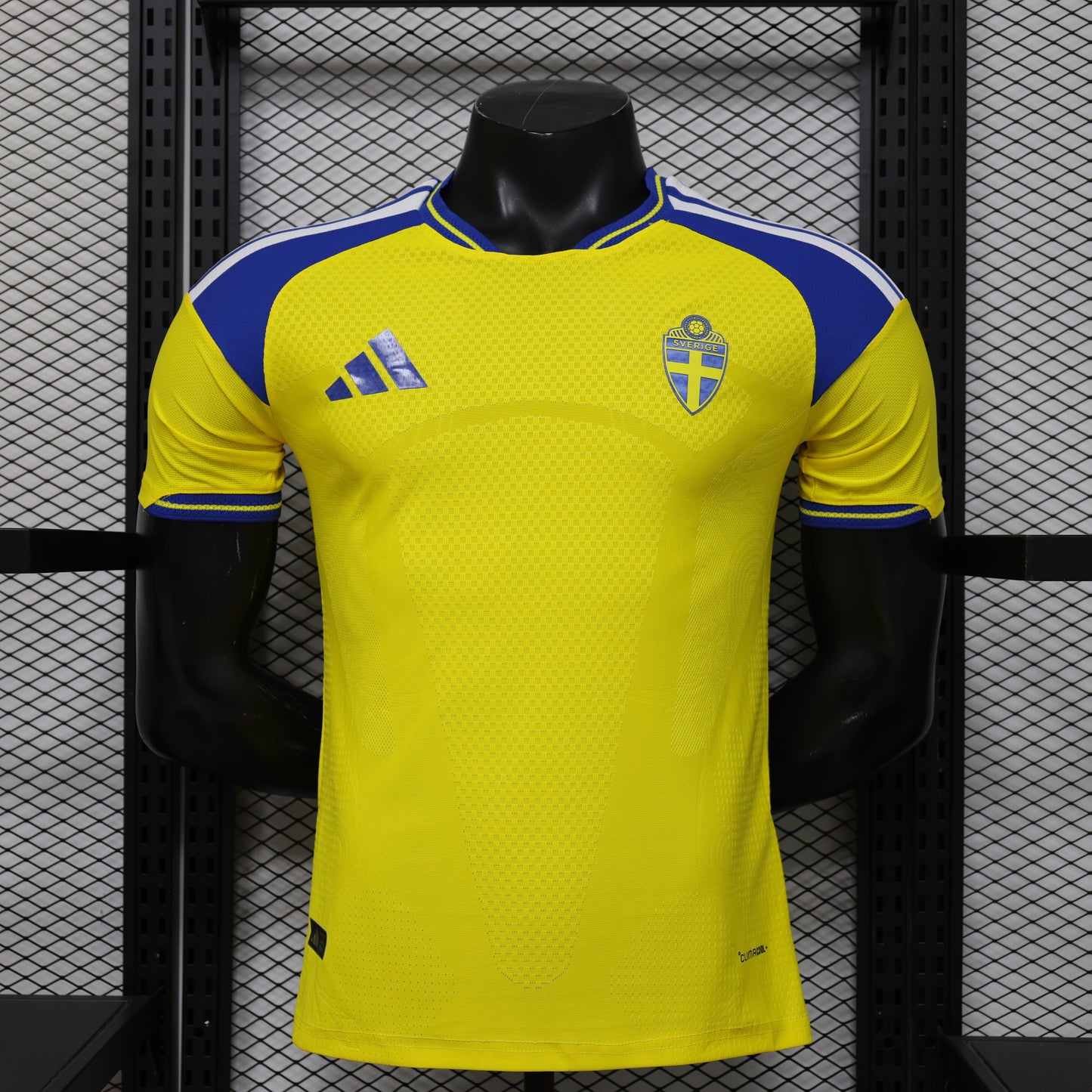 Sweden 2026 World Cup home players edition