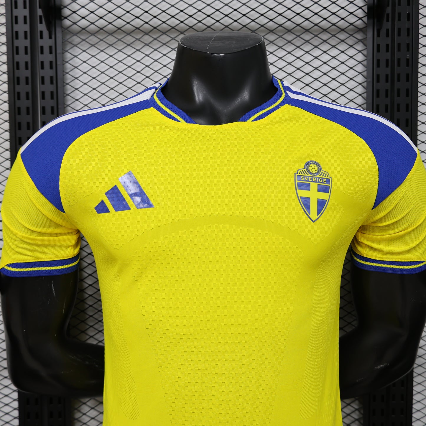 Sweden 2026 World Cup home players edition