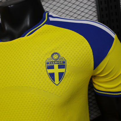 Sweden 2026 World Cup home players edition