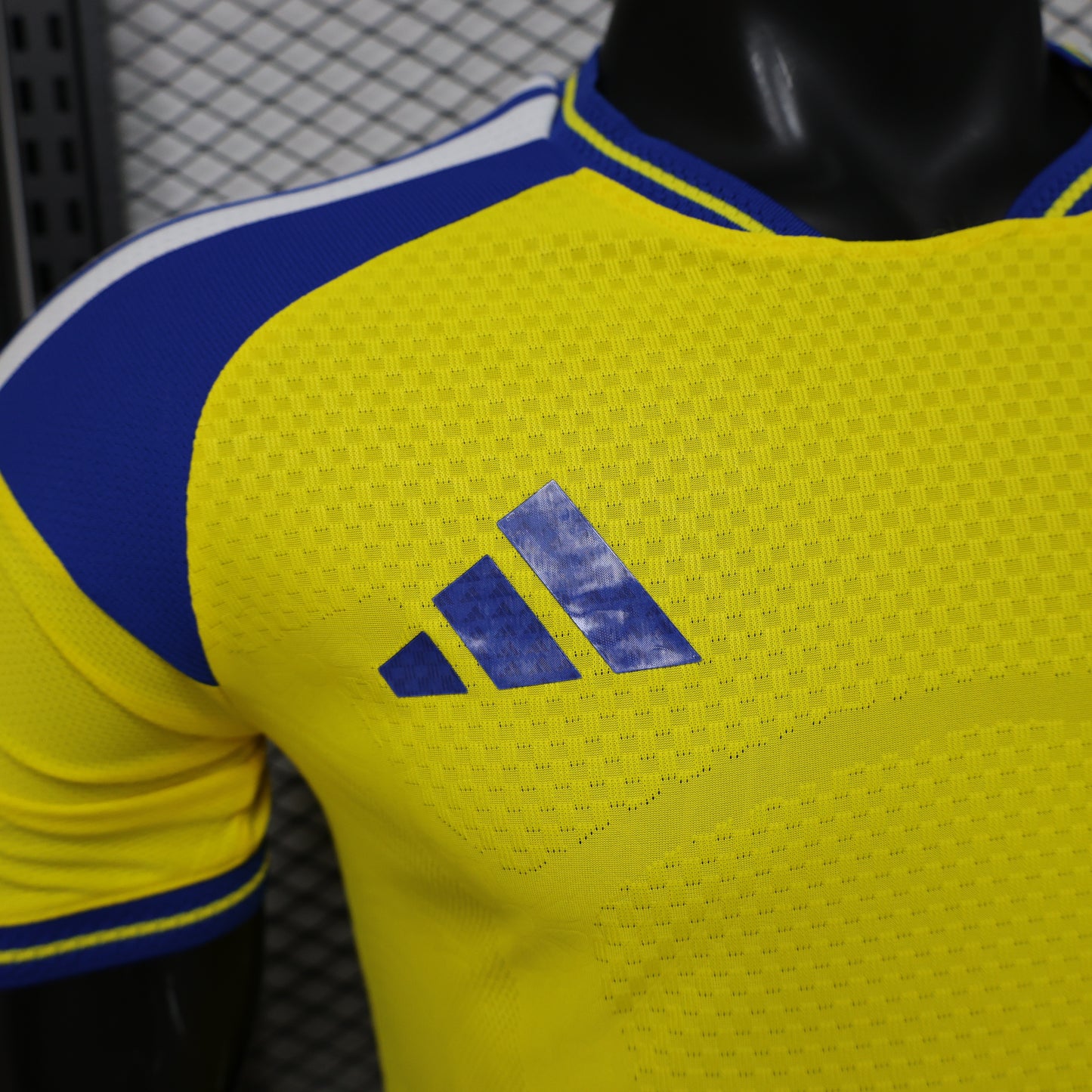 Sweden 2026 World Cup home players edition
