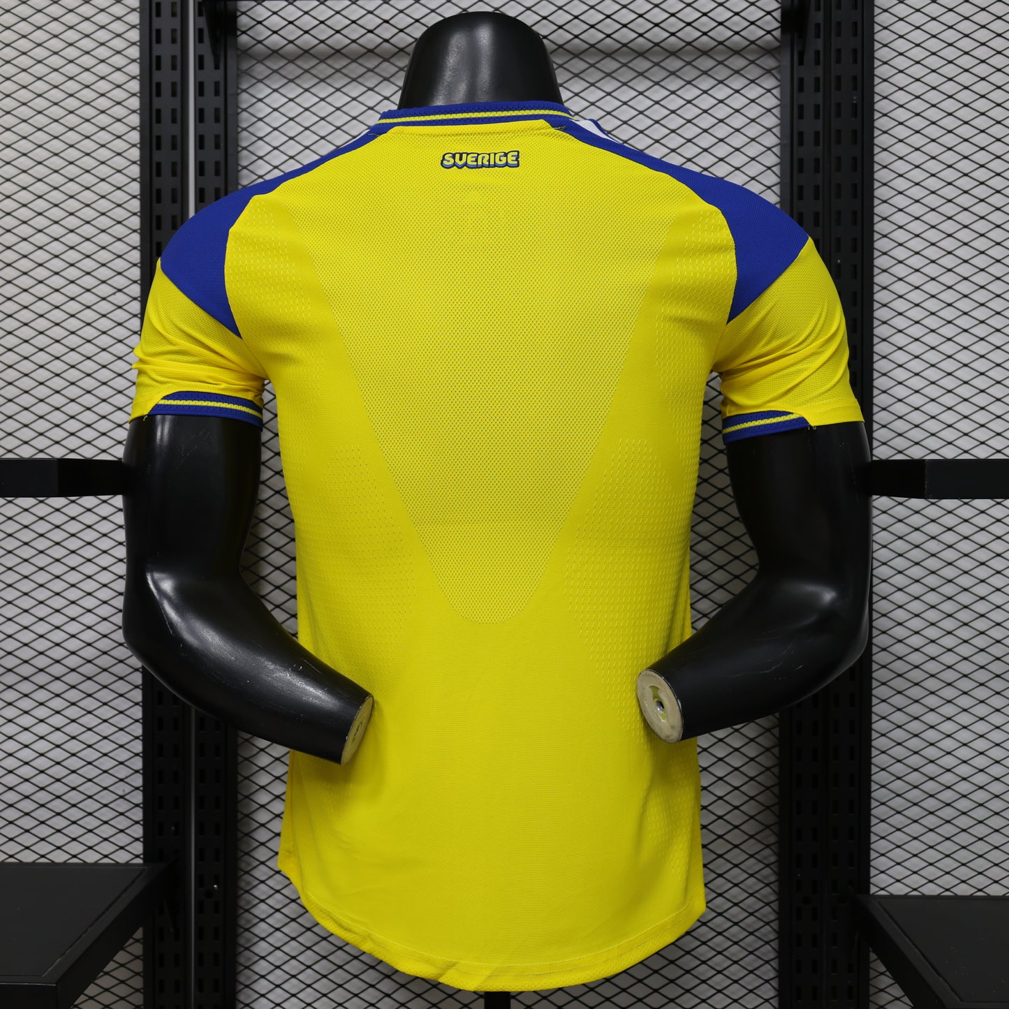 Sweden 2026 World Cup home players edition