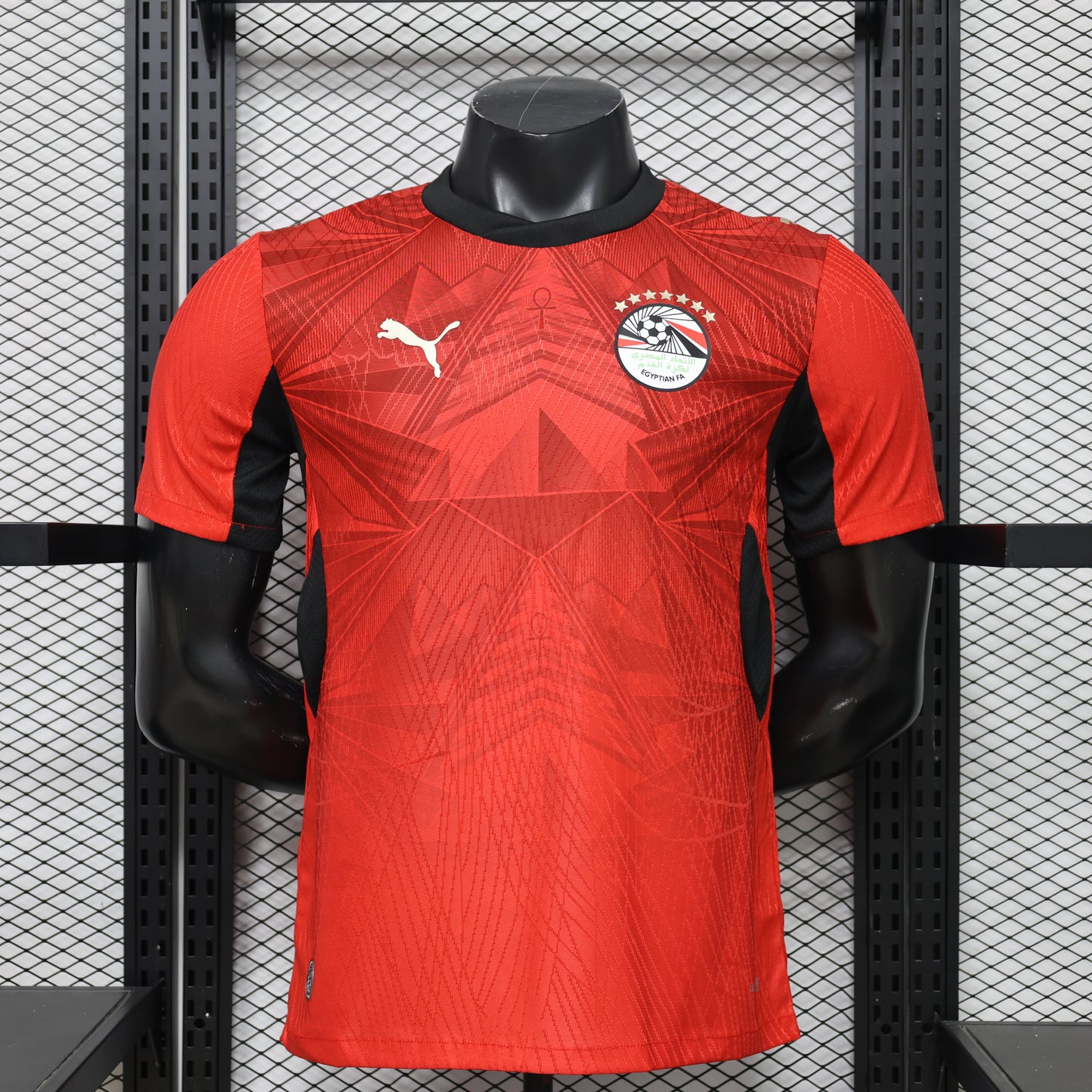 Egypt 2026 World Cup home