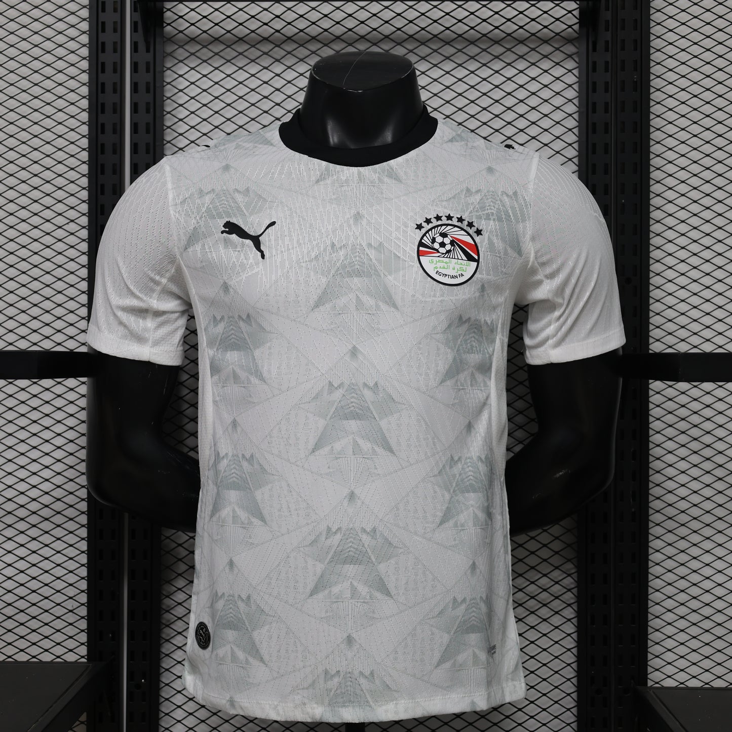 Egypt 2026 World Cup away