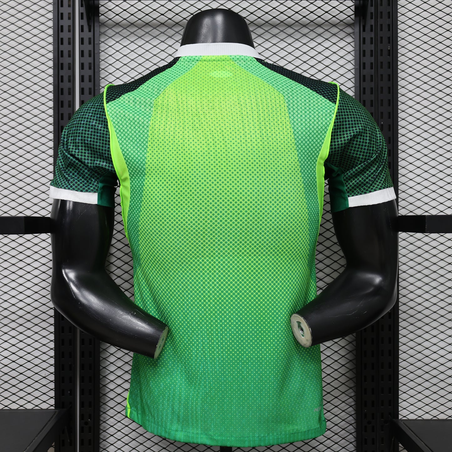 Nigeria 2026 World Cup home players edition
