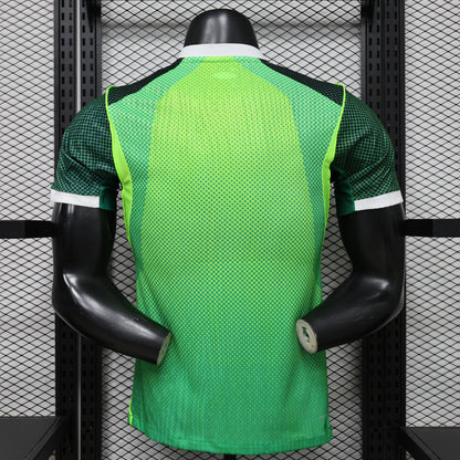 Nigeria 2026 World Cup home players edition