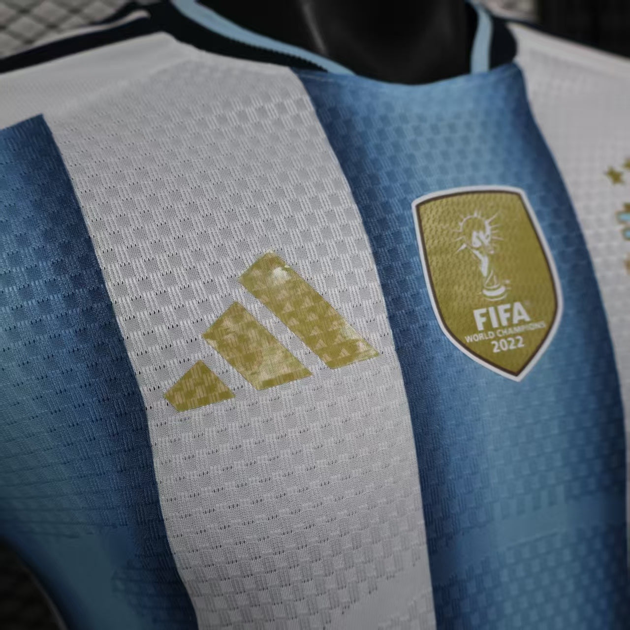 Argentina 2026 World Cup home players version