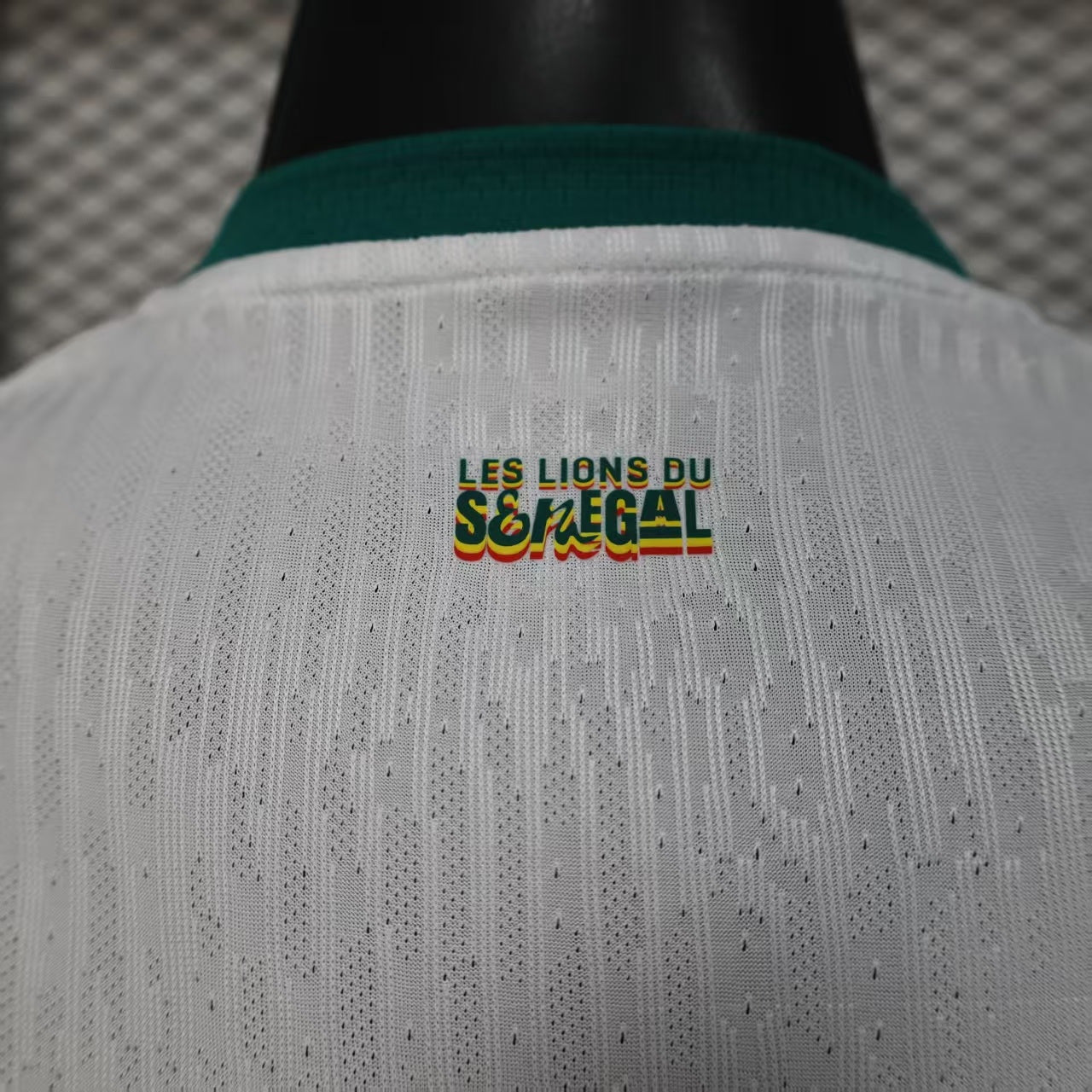Senegal 2026 World Cup home players version