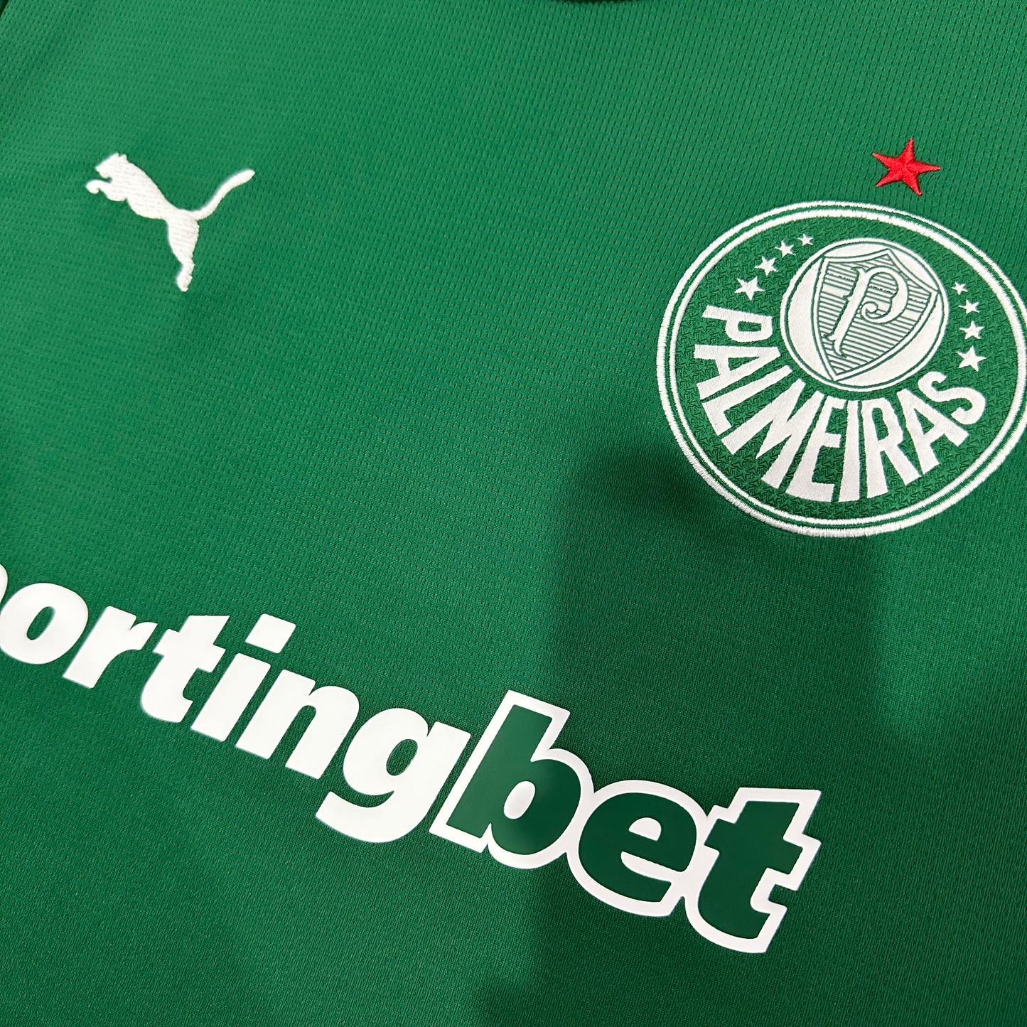 Palmeiras 2026/2027 Third fans  version