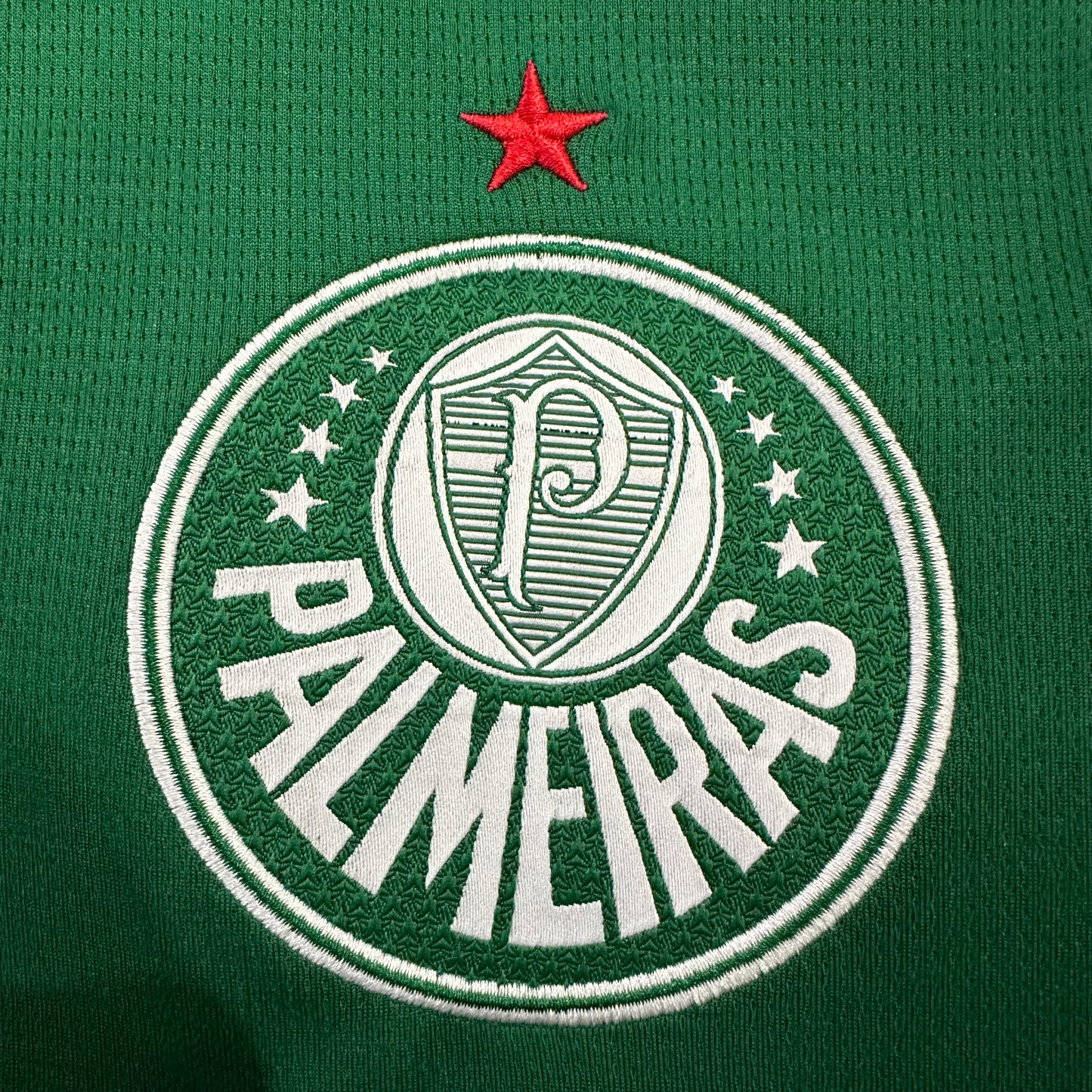 Palmeiras 2026/2027 Third fans  version