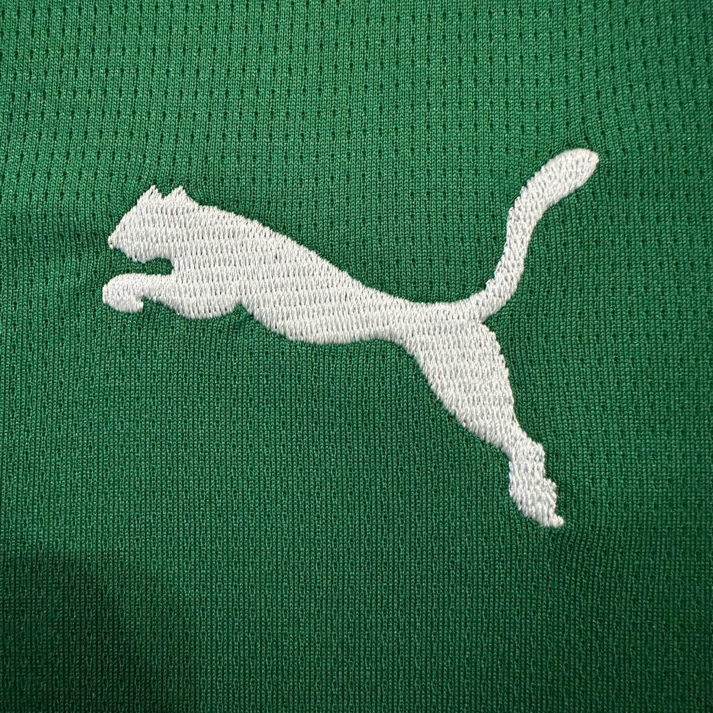 Palmeiras 2026/2027 Third fans  version