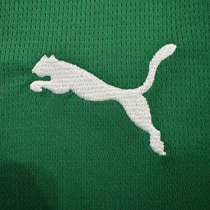 Palmeiras 2026/2027 Third fans  version