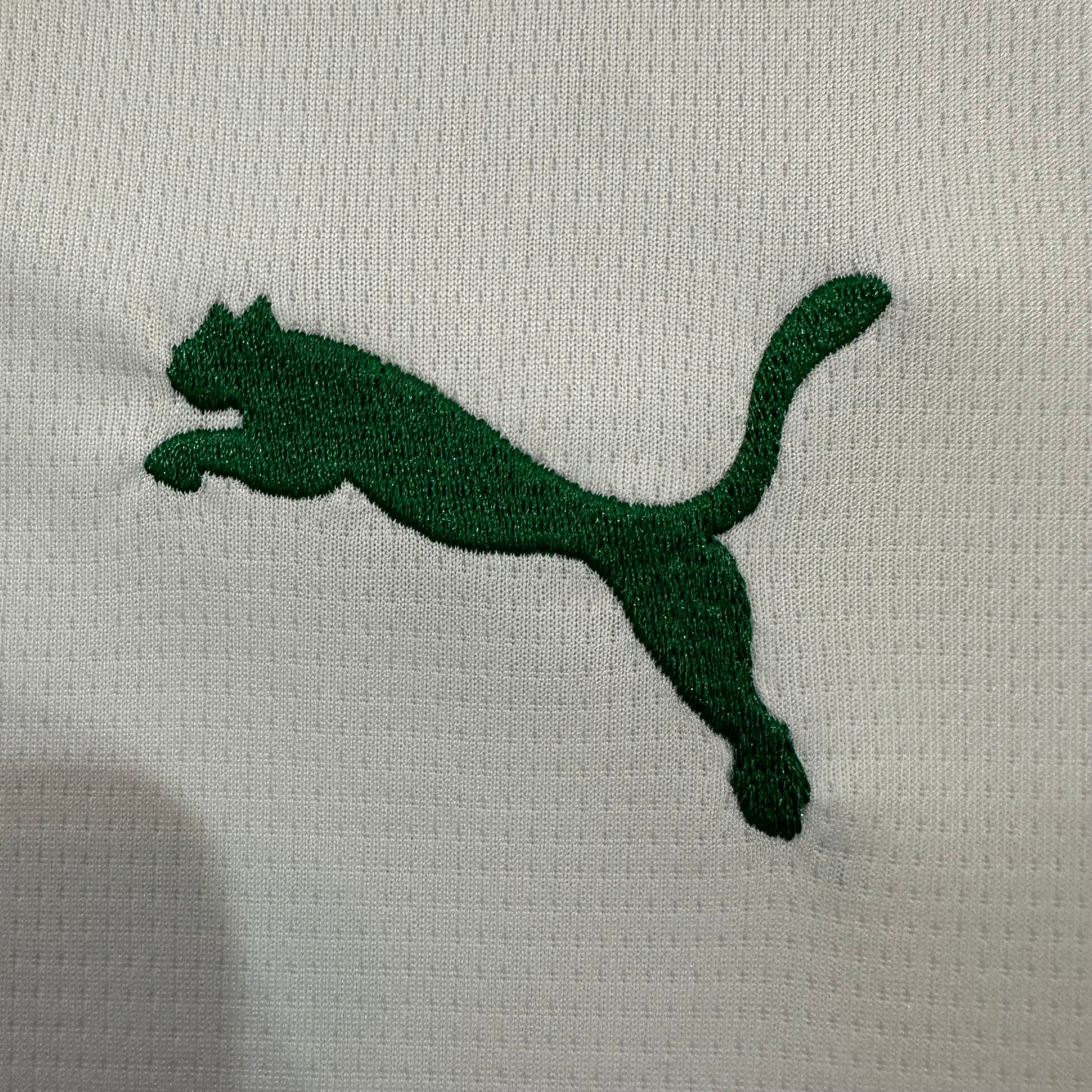 Palmeiras 2026/2027 Away fans version